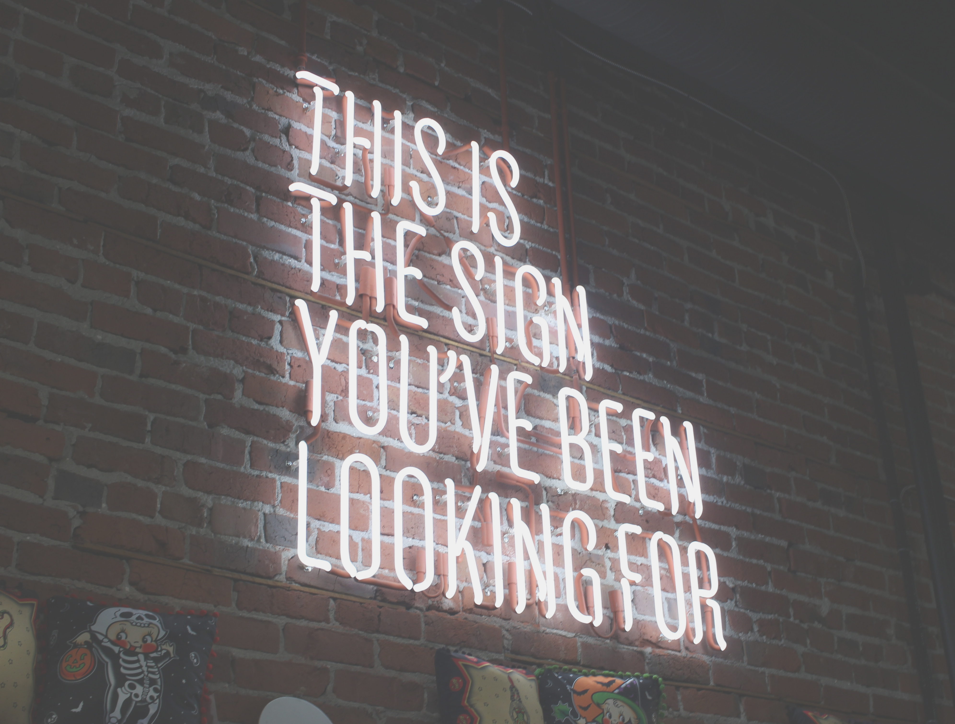 austin-chan-275638-unsplash About Claire Bulman