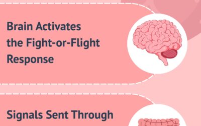 Can Anxiety Cause Digestive Problems? The Gut–Brain Connection Explained