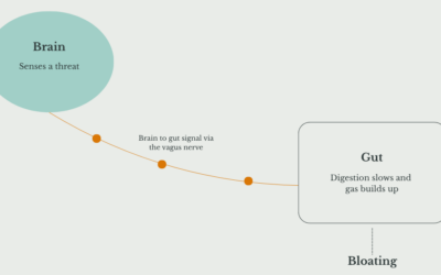 Anxiety and Digestion: Your Most-Asked Questions, Answered.